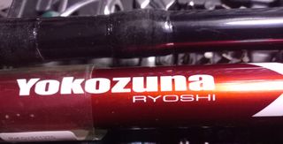 Caña para pescar siluro y grandes depredadores