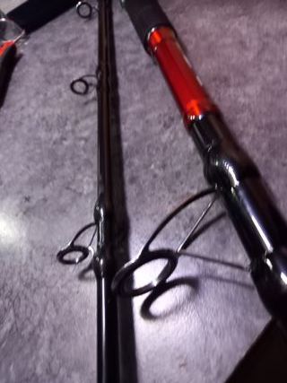 Caña para pescar siluro y grandes depredadores