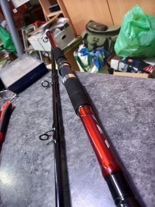 Caña para pescar siluro y grandes depredadores