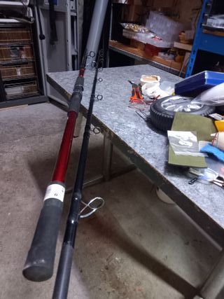 Caña para pescar siluro y grandes depredadores