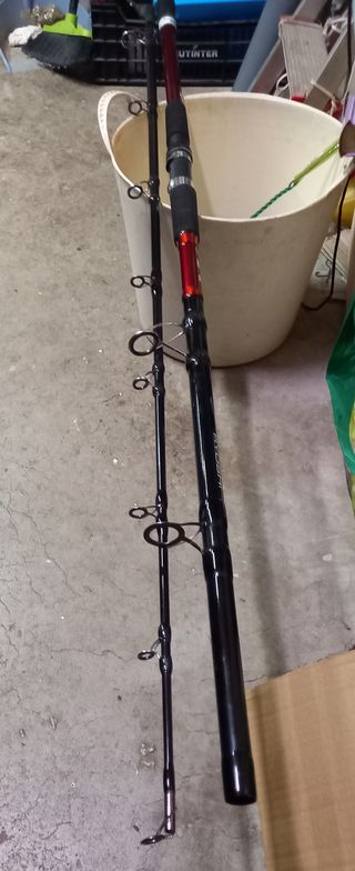 Caña para pescar siluro y grandes depredadores