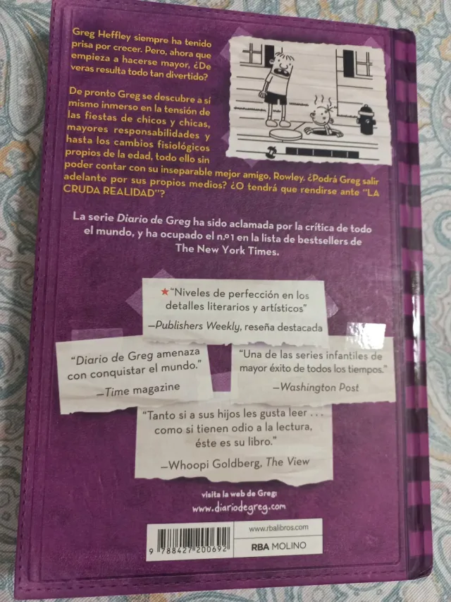 Diario de Greg 5 - La cruda realidad