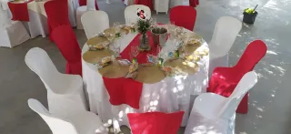 Sillas Garrocha Blancas de Plástico