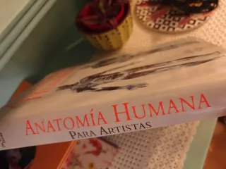 Anatomia Del Cuerpo Humano : Para Artistas (Spa...