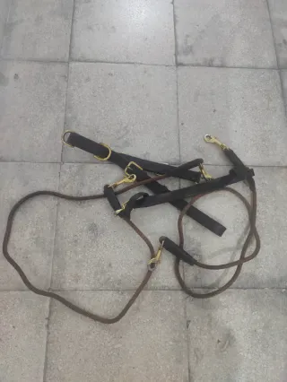 Gogue para cabezada de caballo.Bajador de cabeza.