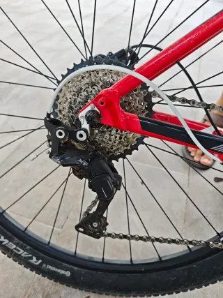 Bicicleta Montaña Focus Whistler Talla M