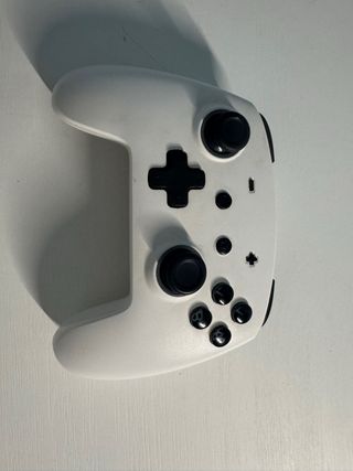 Mando Blanco para Nintendo Switch