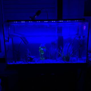 Luz LED Acuario NICREW Negra