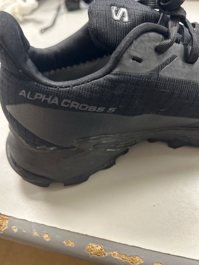 Zapatillas Salomon Gore-Tex Alpha Cross 5