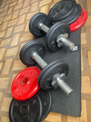 Pesas y discos variados para entrenamiento