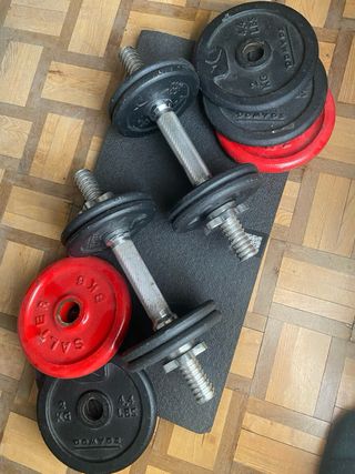 Pesas y discos variados para entrenamiento