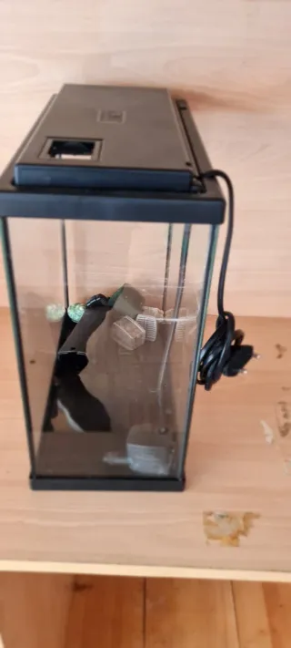 Pecera para peces de agua fría.