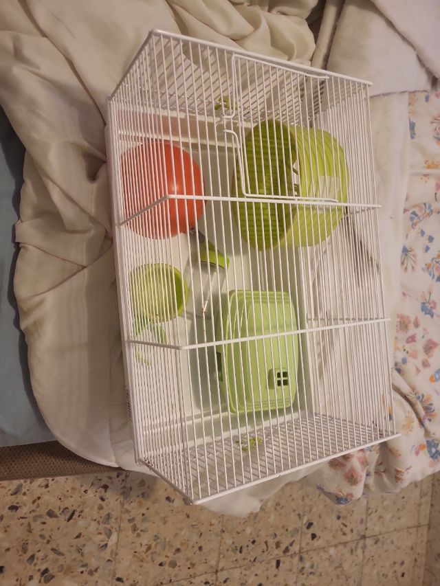 Jaula para hámster blanca y verde
