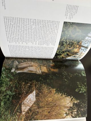 Libro Giardini segreti a Venezia nuovo