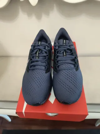 Zapatillas Nike Pegasus 38