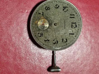 CALIBRE WALTHAM DE BOLSILLO