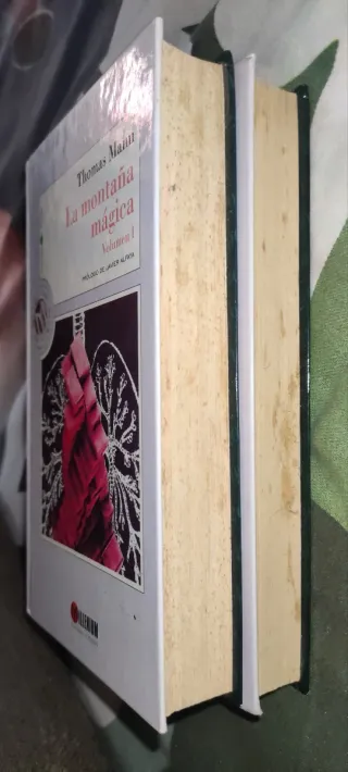 La montaña magica (2 vols)