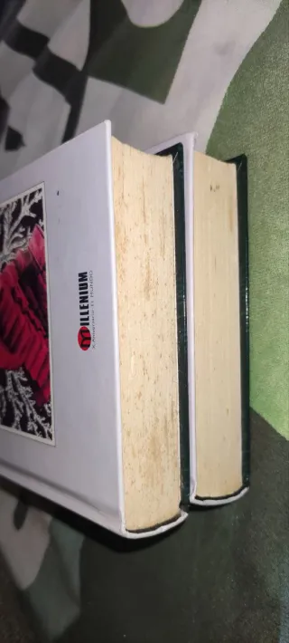 La montaña magica (2 vols)