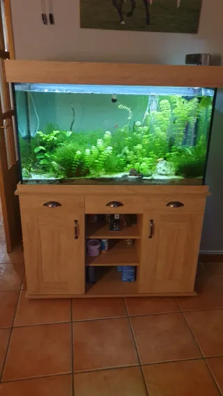 Acuario completo con mueble de madera, Fluval