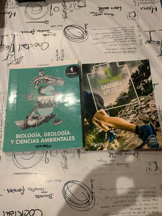2 libros bachillerato 