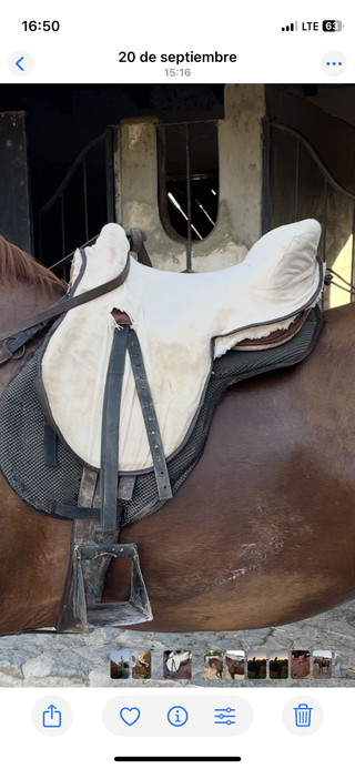 Montura de caballo con manta