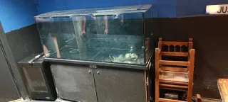 Acuario 450l con mueble y filtro