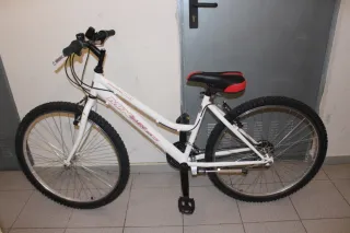 Bicicleta Unisex 26 pulgadas, Como Nueva.