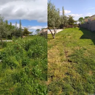 Servicios de jardinería y poda