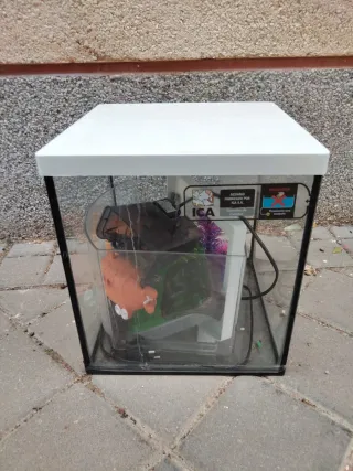 Acuario o terrario con filtro y decoración 