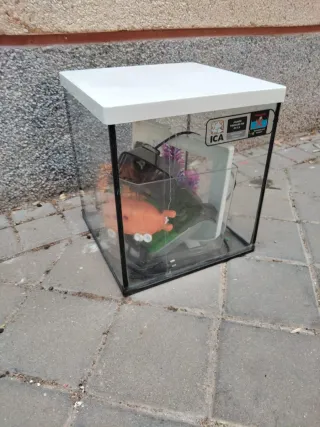 Acuario o terrario con filtro y decoración 