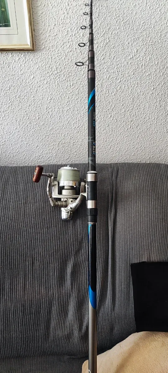 Lote cañas de pesca con carrete