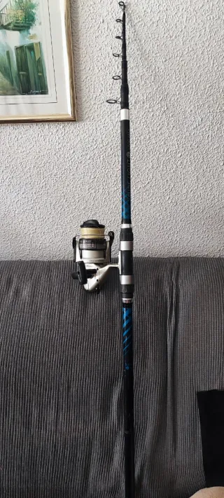 Lote cañas de pesca con carrete