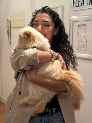 cuidadora de Gatos a domicilio