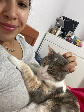 cuidadora de Gatos a domicilio