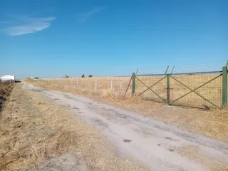 Parcela rústica en venta.
Camino los Palos