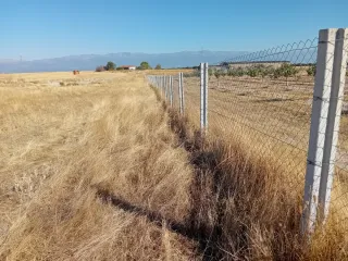 Parcela rústica en venta.
Camino los Palos
