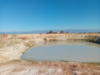 Parcela rústica en venta.
Camino los Palos