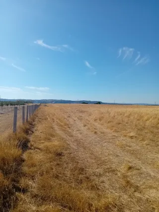 Parcela rústica en venta.
Camino los Palos