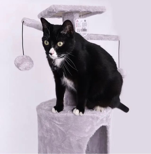 Rascador gato gris 140cm nuevo