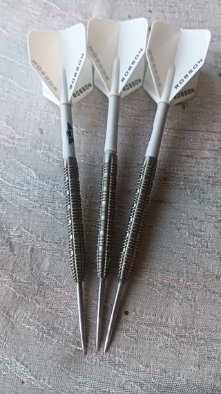 Dardos Profesionales Robson 21gramos
