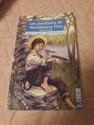 Les aventures de Huckleberry Finn