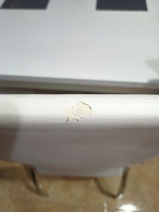 Mesa Comedor Blanca y 6 Sillas