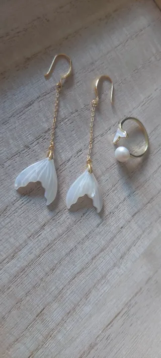 Conjunto Plata 925: Pendientes y Anillo