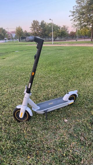Patinete Eléctrico Segway Ninebot G30LE