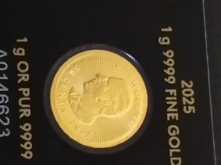 Moneda Oro 1gr Canadá 2025