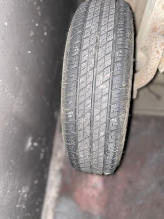 Remolque para perros.