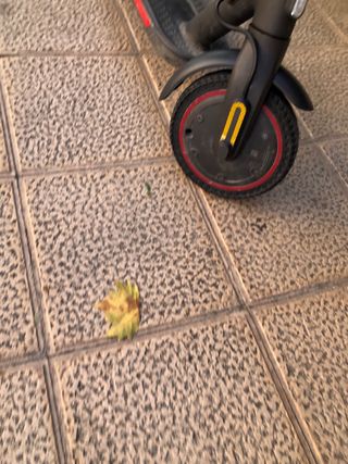 Patinete Eléctrico Xiaomi Pro 2
