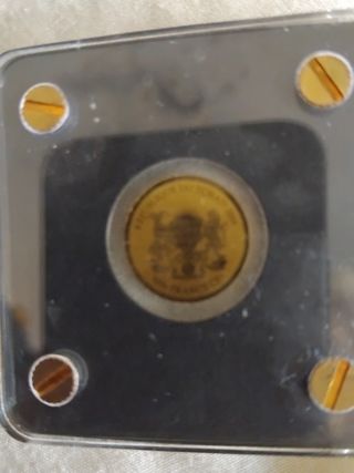 Moneda de oro 1/500 oz troy