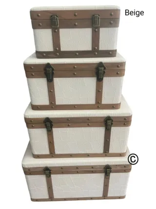 Set 4 Bauli Grigio Vintage