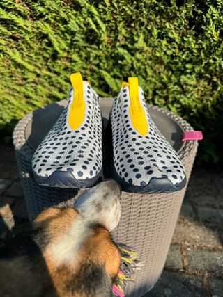 Zapatillas Nike Lunares
Epic React Flyknit